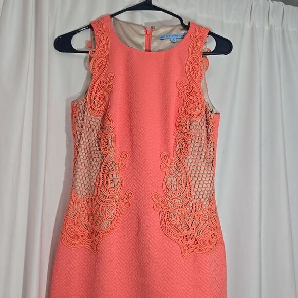 Antonio Melani Reisley Sheath Dress - Picture 13 of 13